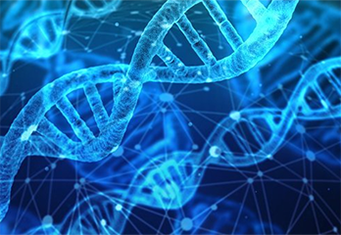 Students performing the lab or submitting lab results online.